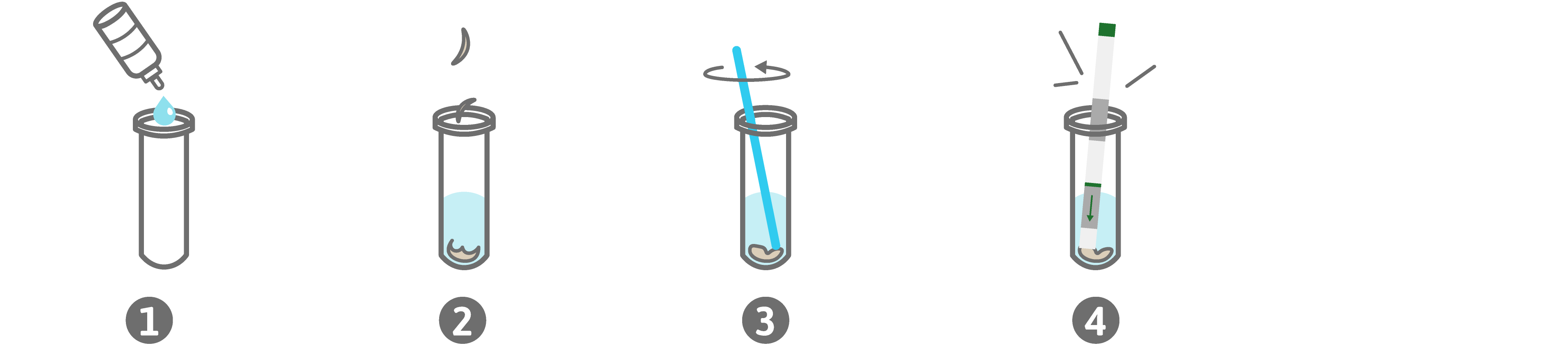 Short Instruction PreventID Dermatophyte